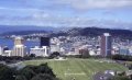 image005 Neben Rugby der Volkssport in Neuseeland: Cricket